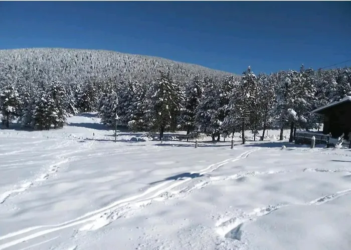 Apartamento En El Pirineo Catalan