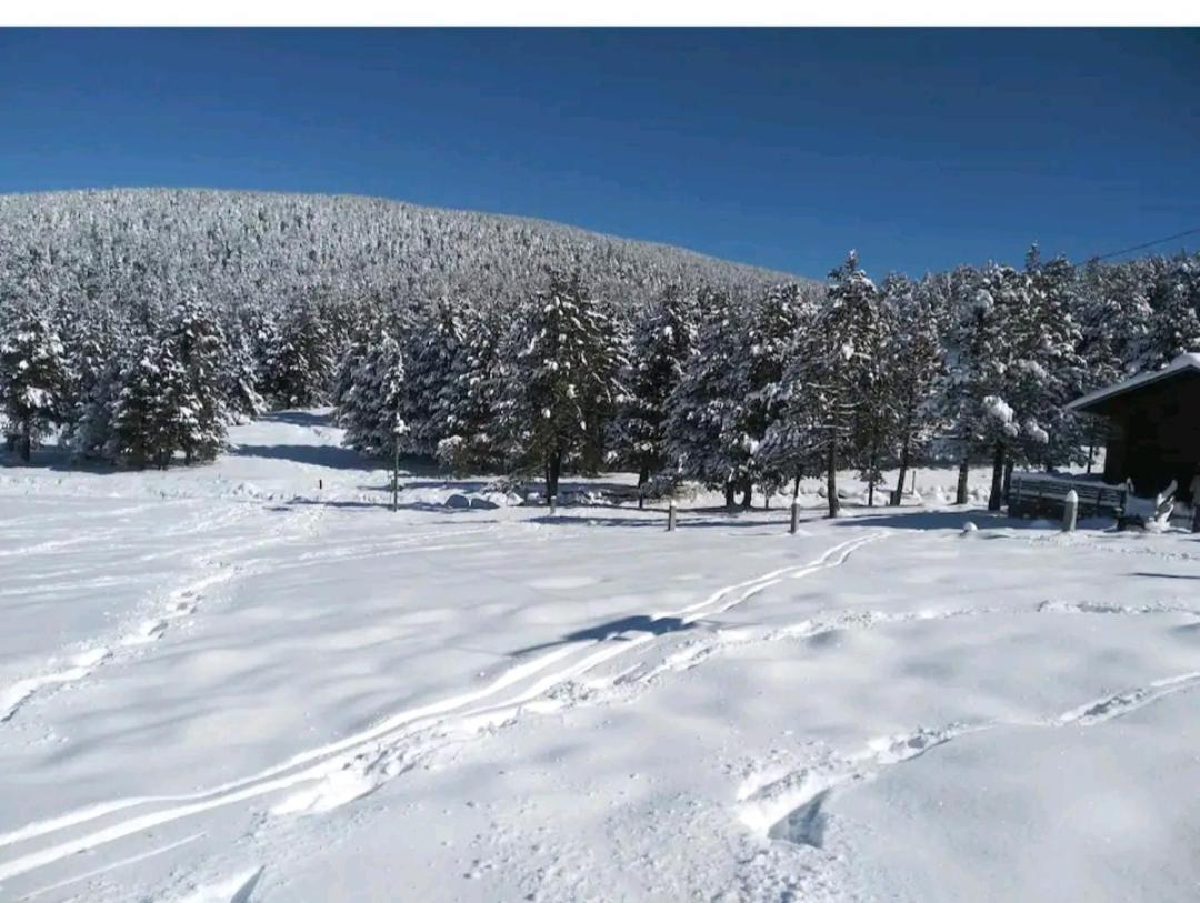 Apartment En El Pirineo Catalan
